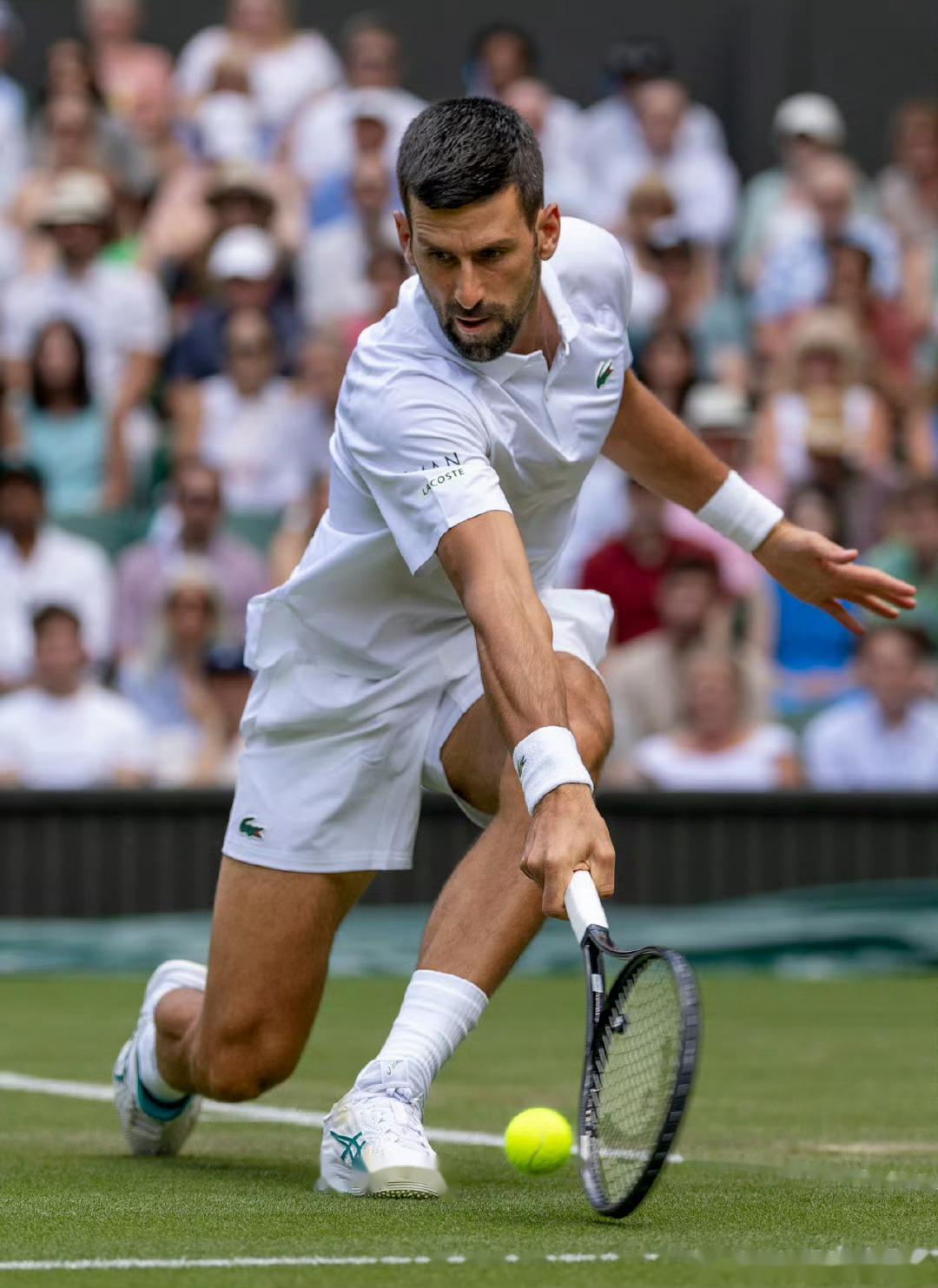 KAIYUN-德约科维奇重要时刻败北，德国队带队取胜！